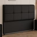 Color Black