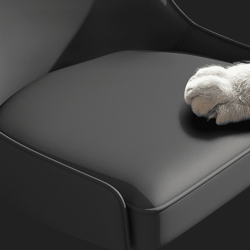 Simple/Glamorous Side Chair with Imperforate Back, Polyurethane Upholstery, Alloy Legs, Outlined Frame, and Steady Stability - image 15
