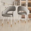 Color Light Gray