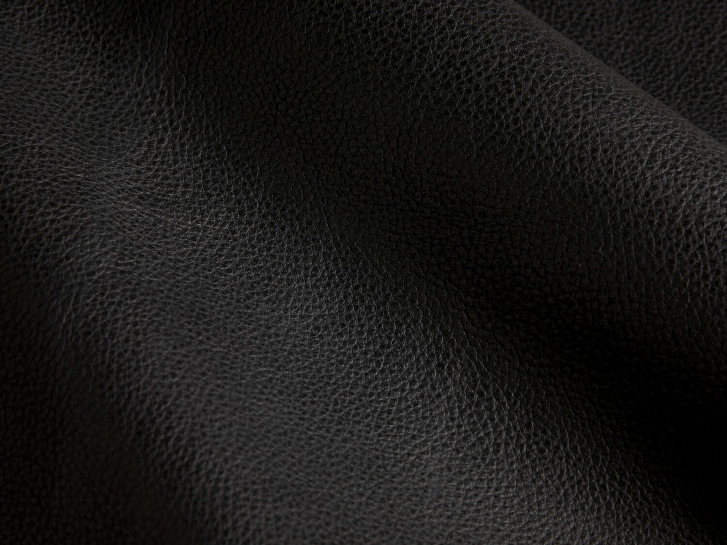 10061SWRCLB_BH250616SWATCH 10061SWRCLB BH250616SWATCH