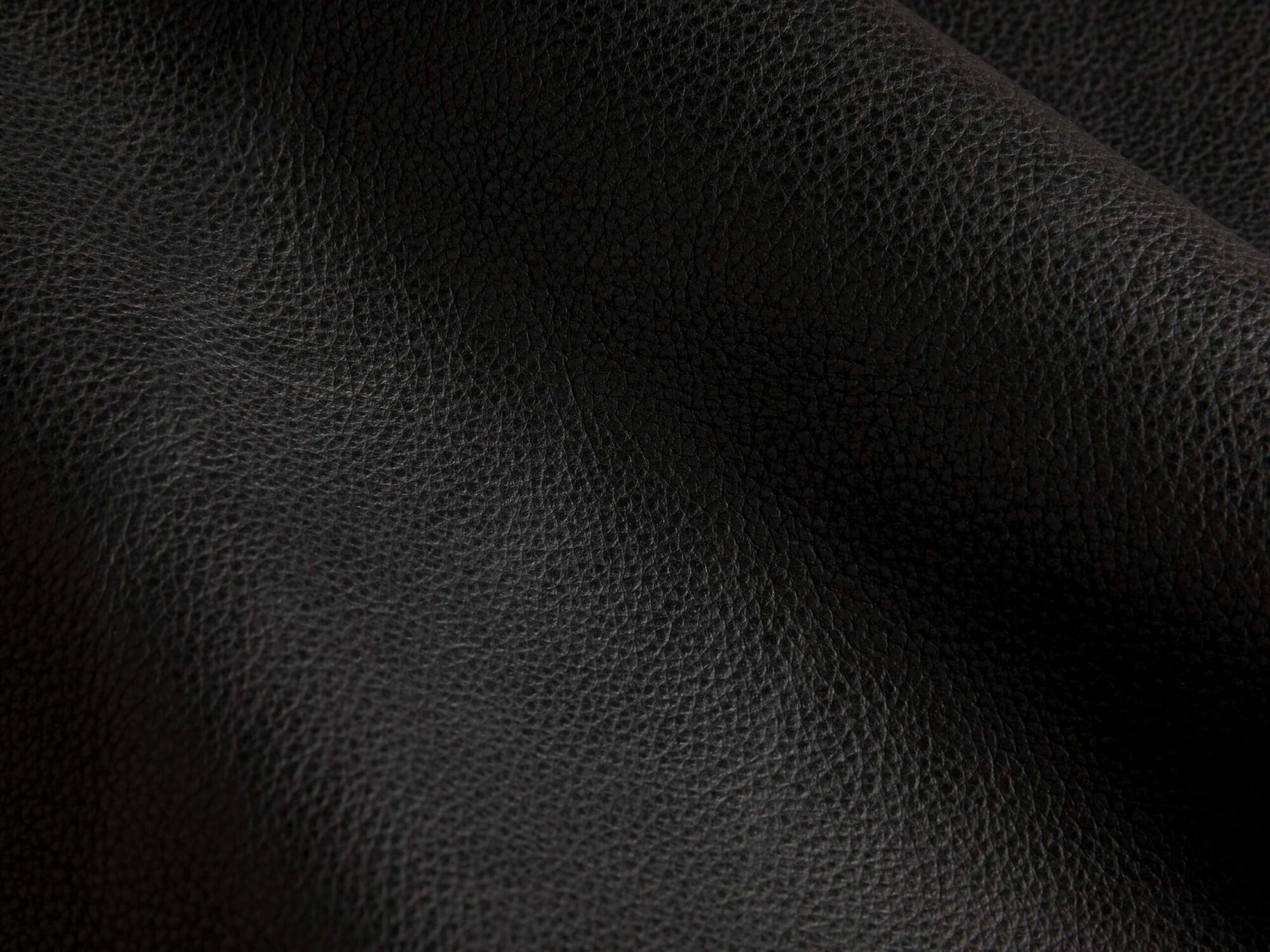 10061SWRCLB_BH250616SWATCH 10061SWRCLB BH250616SWATCH