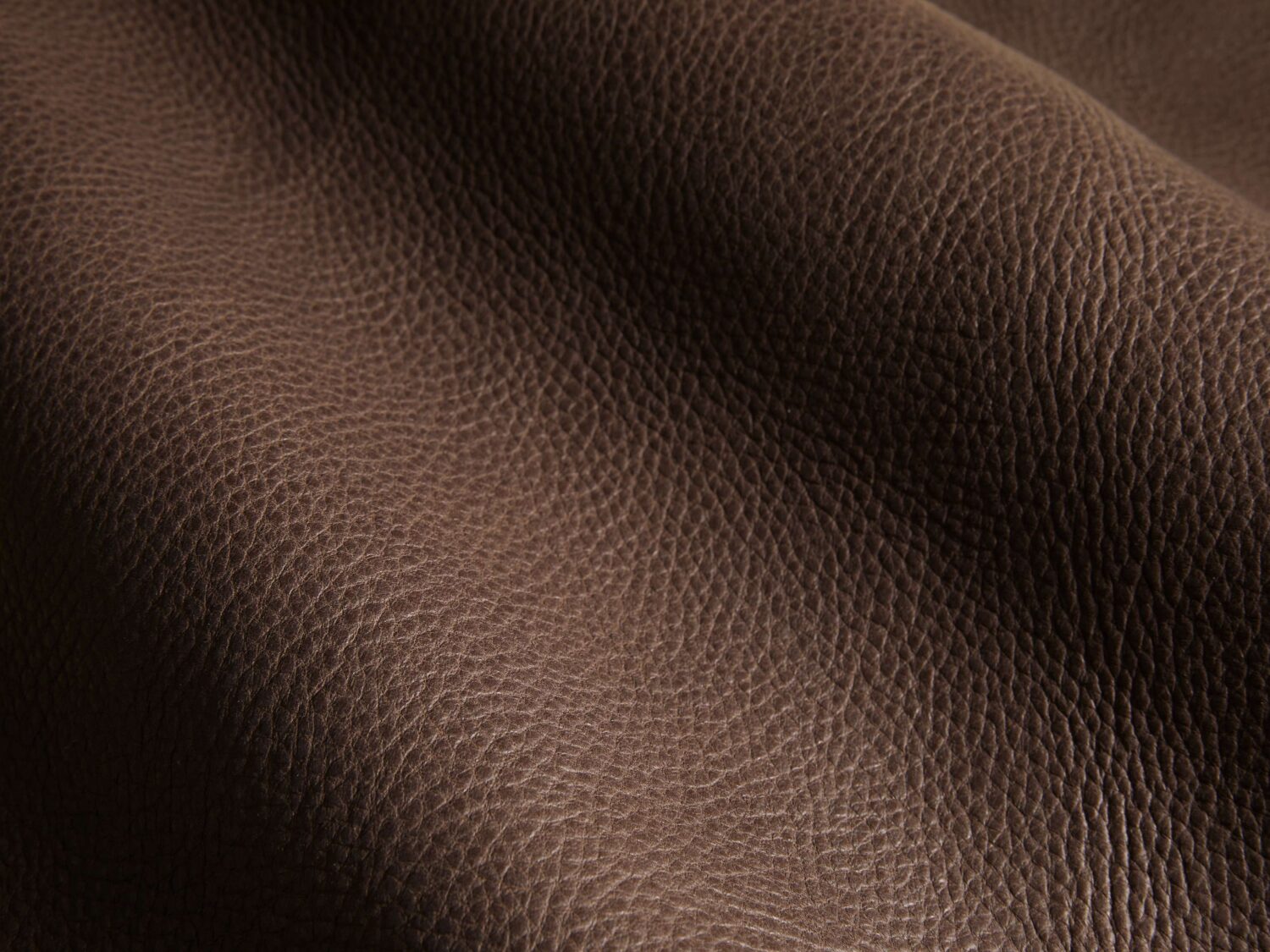 10063SWRCLM_A250609SWATCH-1 10063SWRCLM A250609SWATCH 1