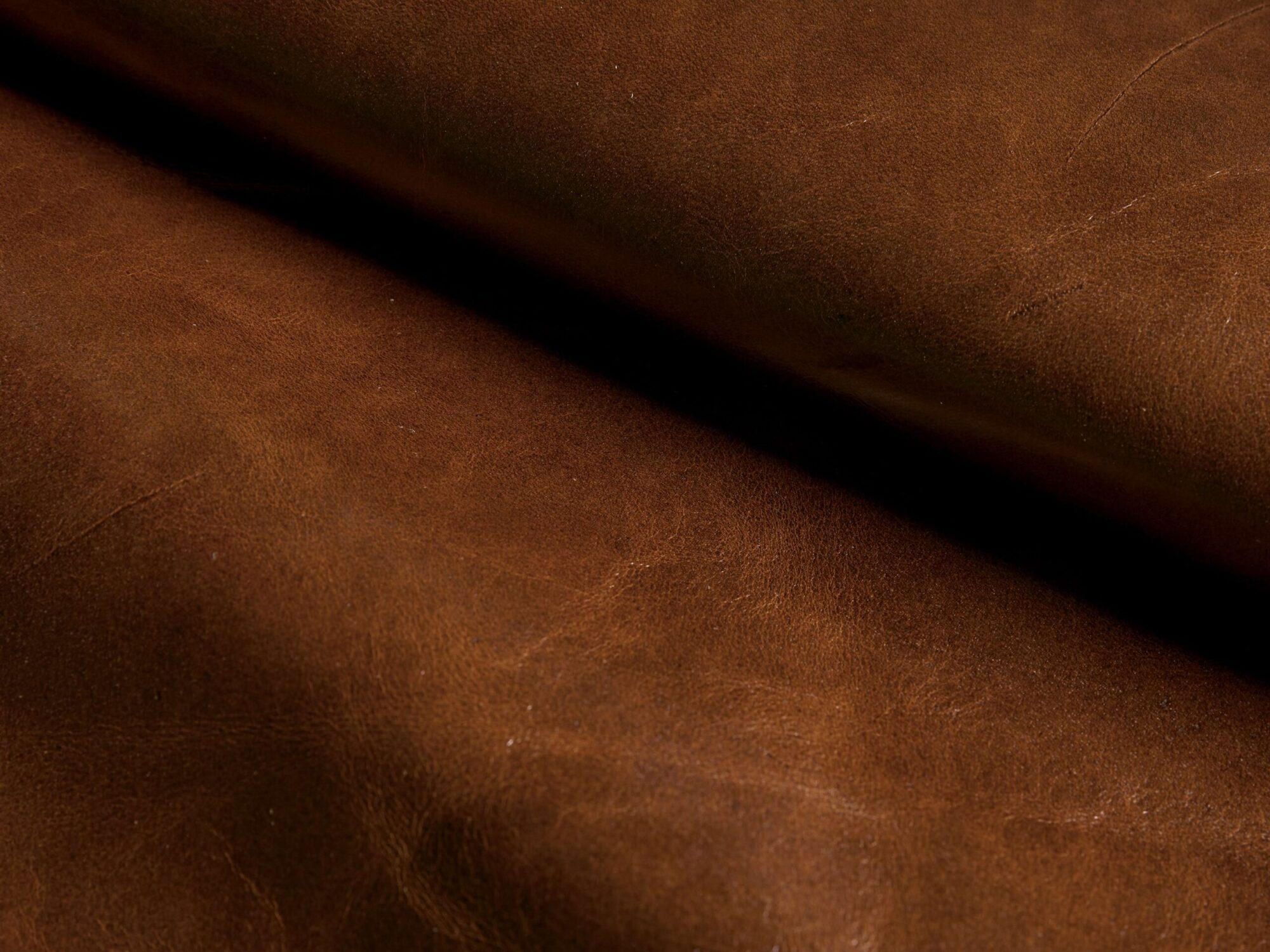 2010CCHRMBC_A250609SWATCH 2010CCHRMBC A250609SWATCH