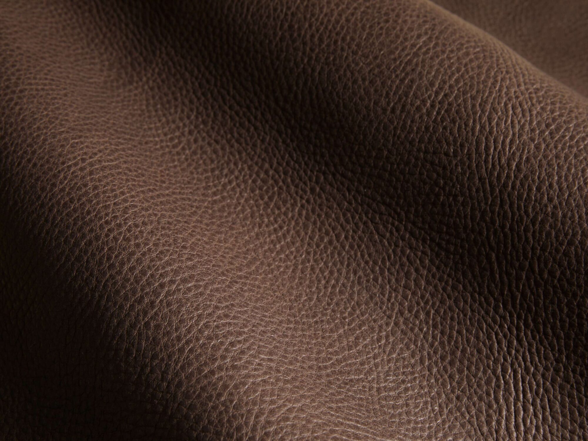 20RWT4AMSCLW_C250609SWATCH 20RWT4AMSCLW C250609SWATCH