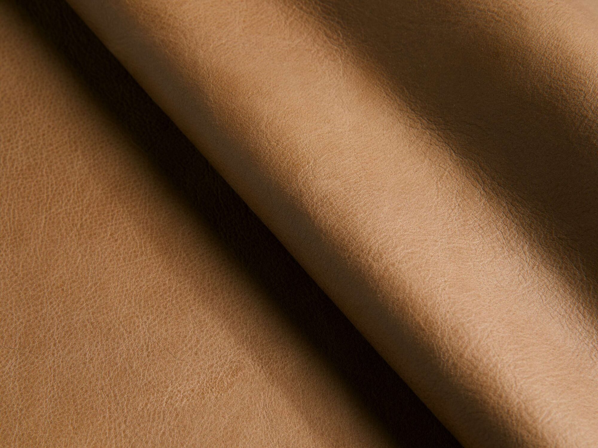 XNWLSF2_C250609SWATCH XNWLSF2 C250609SWATCH